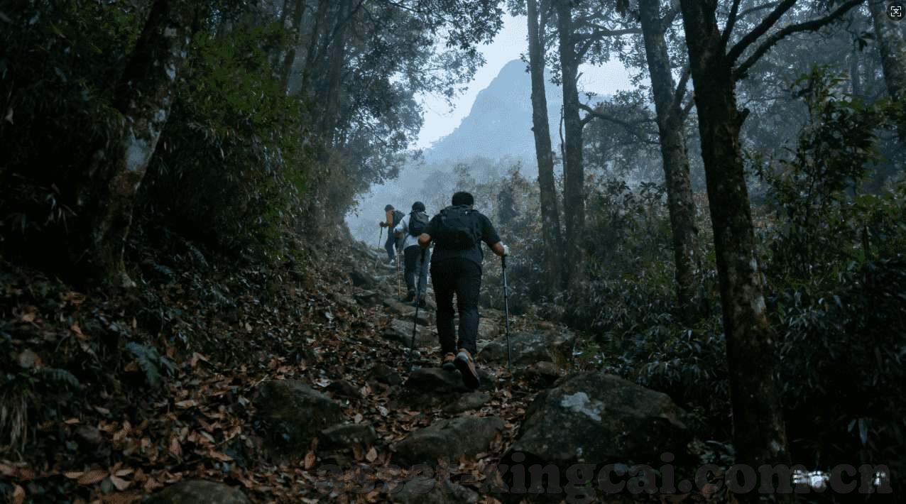 开云电竞官网下载-解锁电竞新世界，一键直通开云电竞官网下载